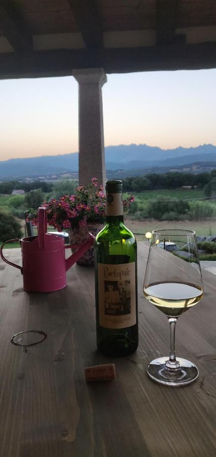 Cantina Perandria