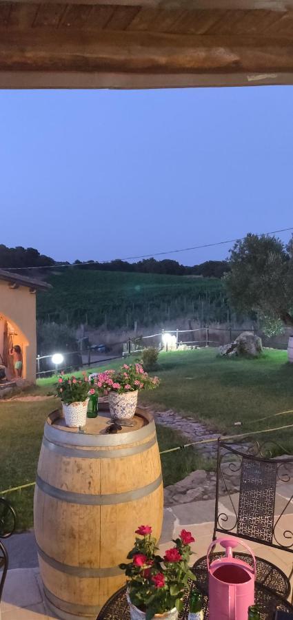 Bed & Breakfast Cantina Perandria